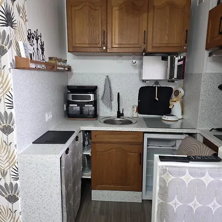 5 Personnes, Pied Des Pistes, Balcon, Vue Montagne Apartman